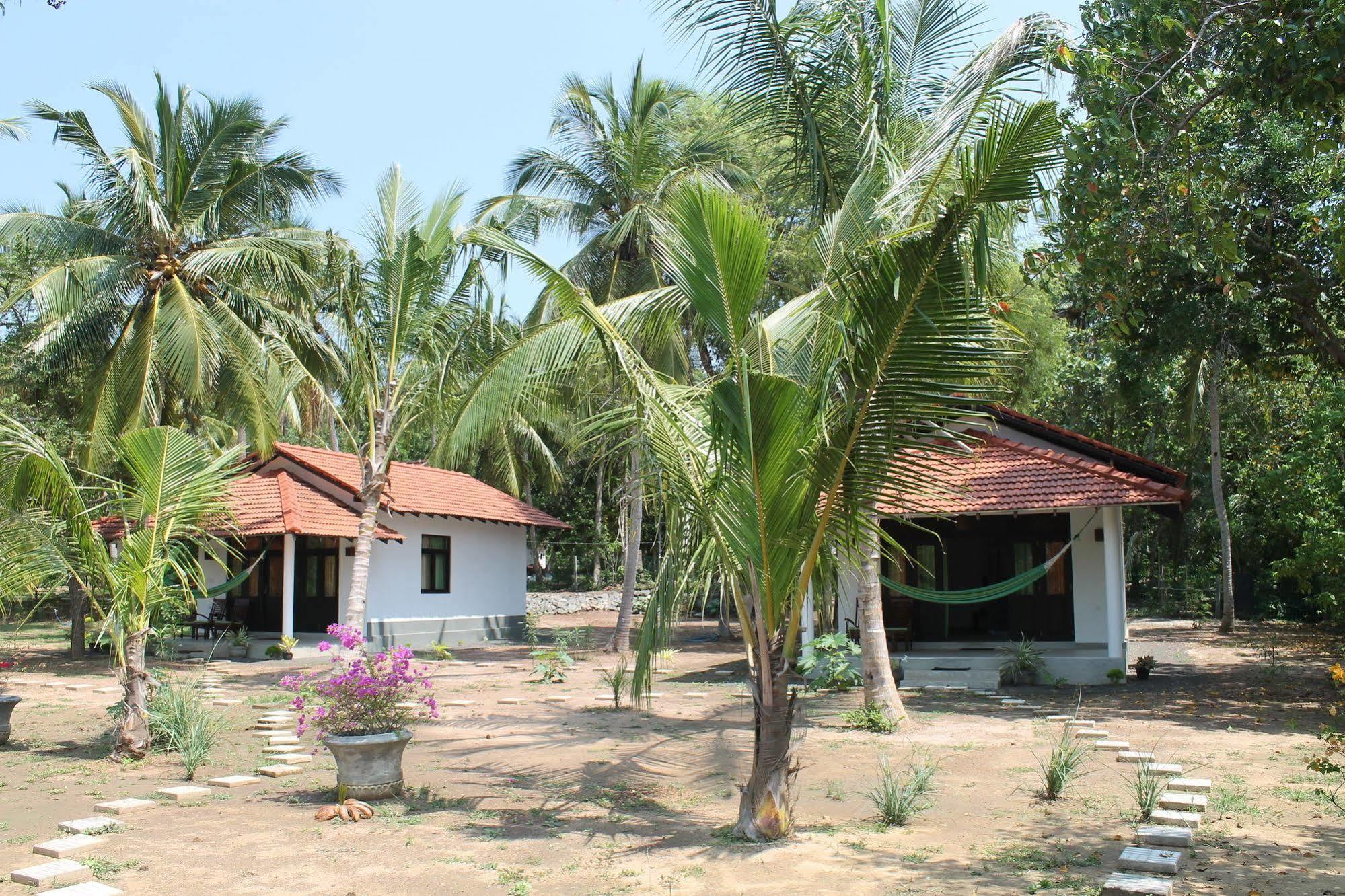 Chillenjoy Cabanas & Restaurant Tangalle Eksteriør billede