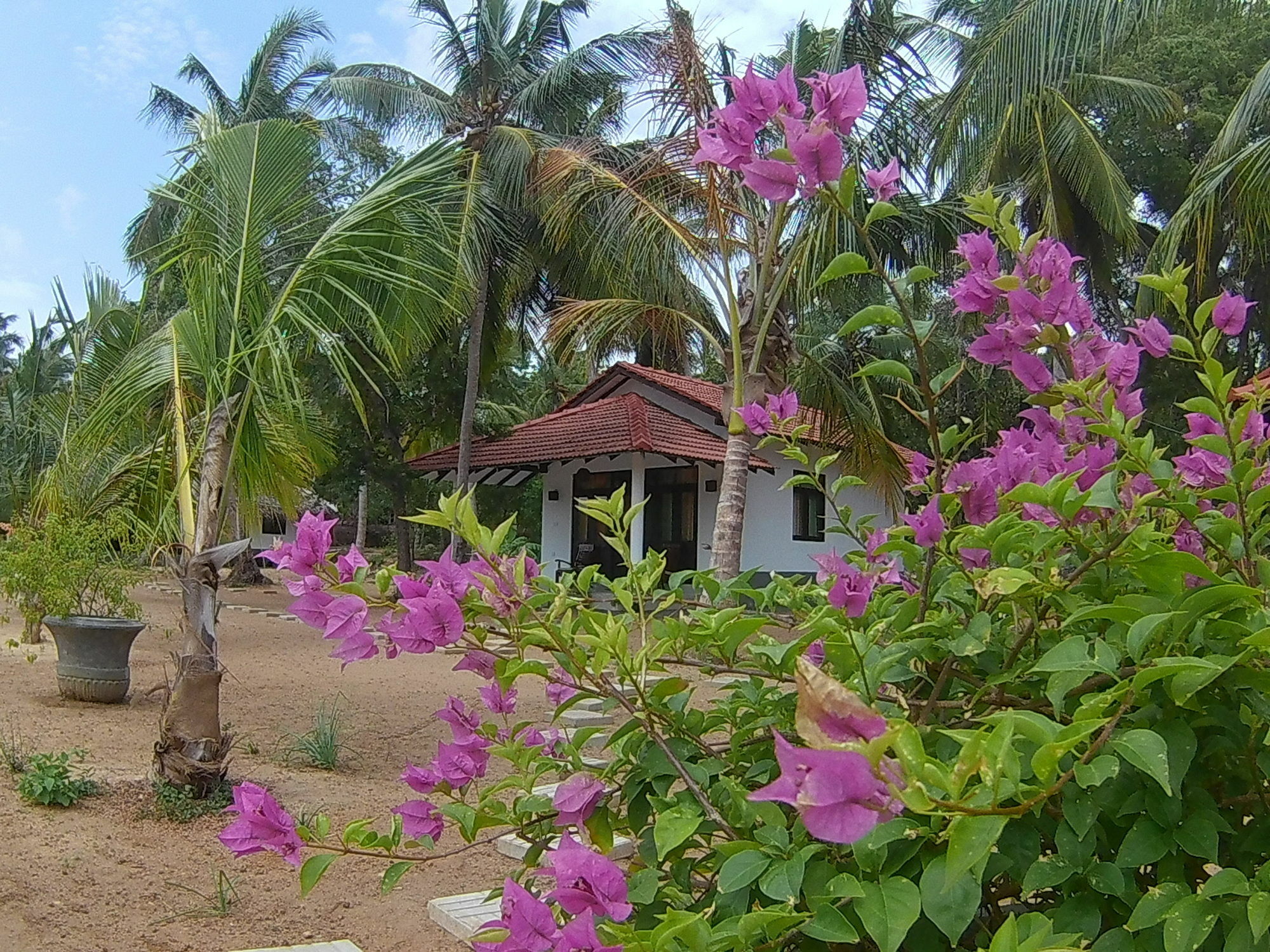 Chillenjoy Cabanas & Restaurant Tangalle Eksteriør billede